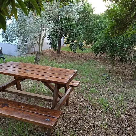Avci Villa-fethiye 3+1 In Garden With Private Pool, 10 Minutes To The