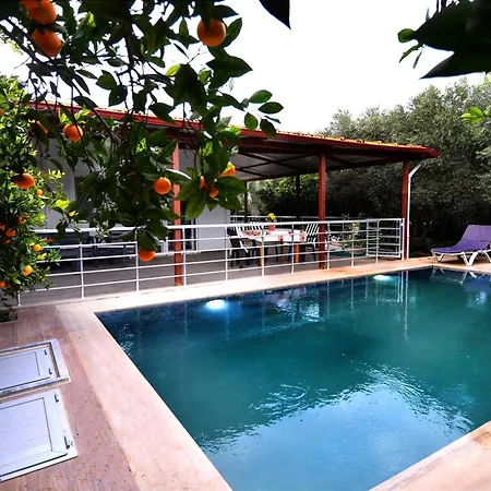 Avci Villa-fethiye 3+1 In Garden With Private Pool, 10 Minutes To The