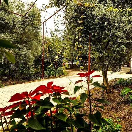 Avci Villa-fethiye 3+1 In Garden With Private Pool, 10 Minutes To The Villa Fethiye