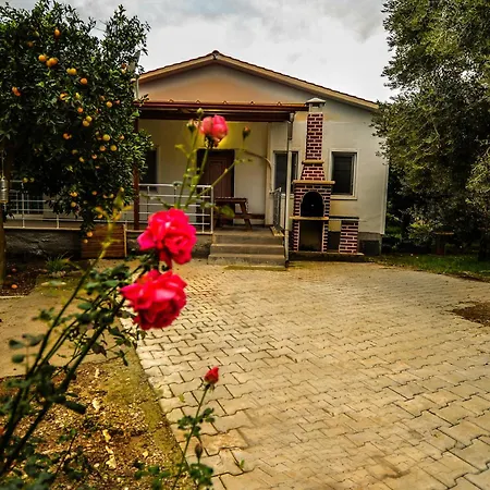 Avci Villa-fethiye 3+1 In Garden With Private Pool, 10 Minutes To The Villa