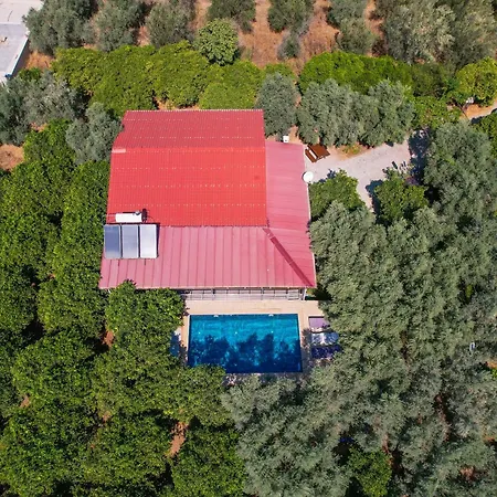 Avci Villa-fethiye 3+1 In Garden With Private Pool, 10 Minutes To The Villa Fethiye