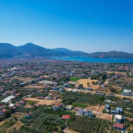 Villa Avci Villa-fethiye 3+1 In Garden With Private Pool, 10 Minutes To The