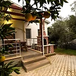 Avci Villa-fethiye 3+1 In Garden With Private Pool, 10 Minutes To The Вилла Фетхие